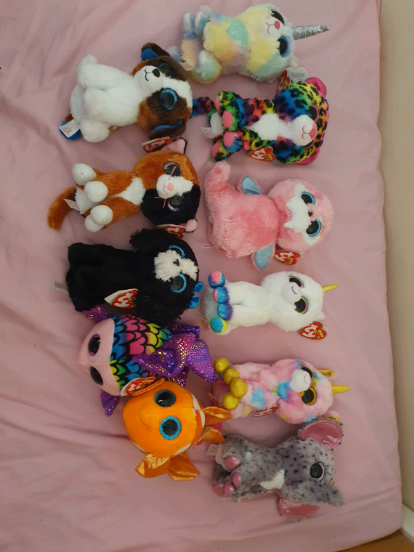 beanie boos gumtree
